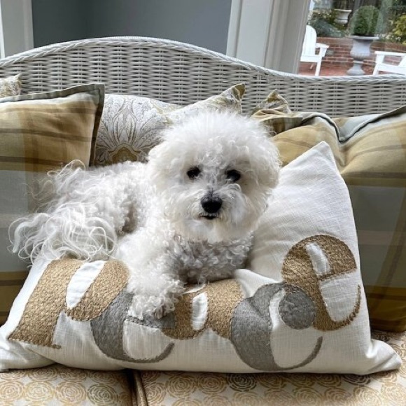 Pottery Barn Winter Peace Lumbar Pillow Cover - Picture 4 of 7